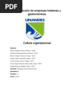 Cultura Organizacional