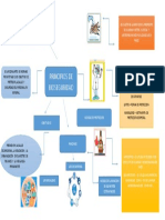 Mapa Mental de Principios de Bioseguridad