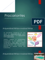 Procariontes (2)