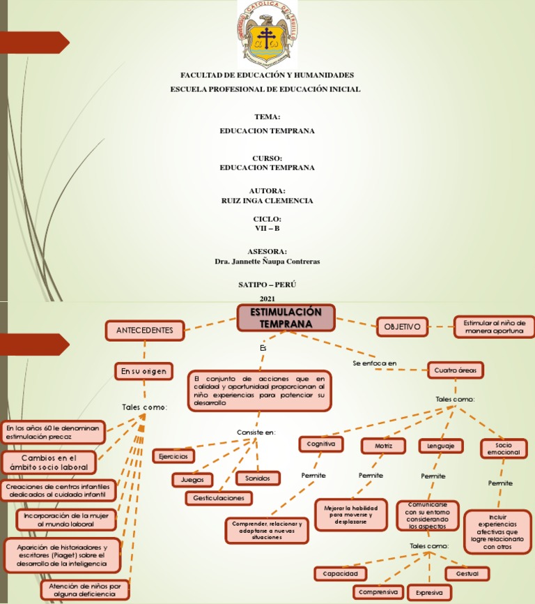 Mapa Conceptual de Estimulación Temprana | PDF | Educación de la ...