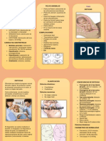 14 Tarea Escobar Zeenia Tripticos de Salud Materna Semana 14