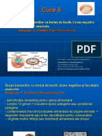 Microbiologie 1 Curs 05 A