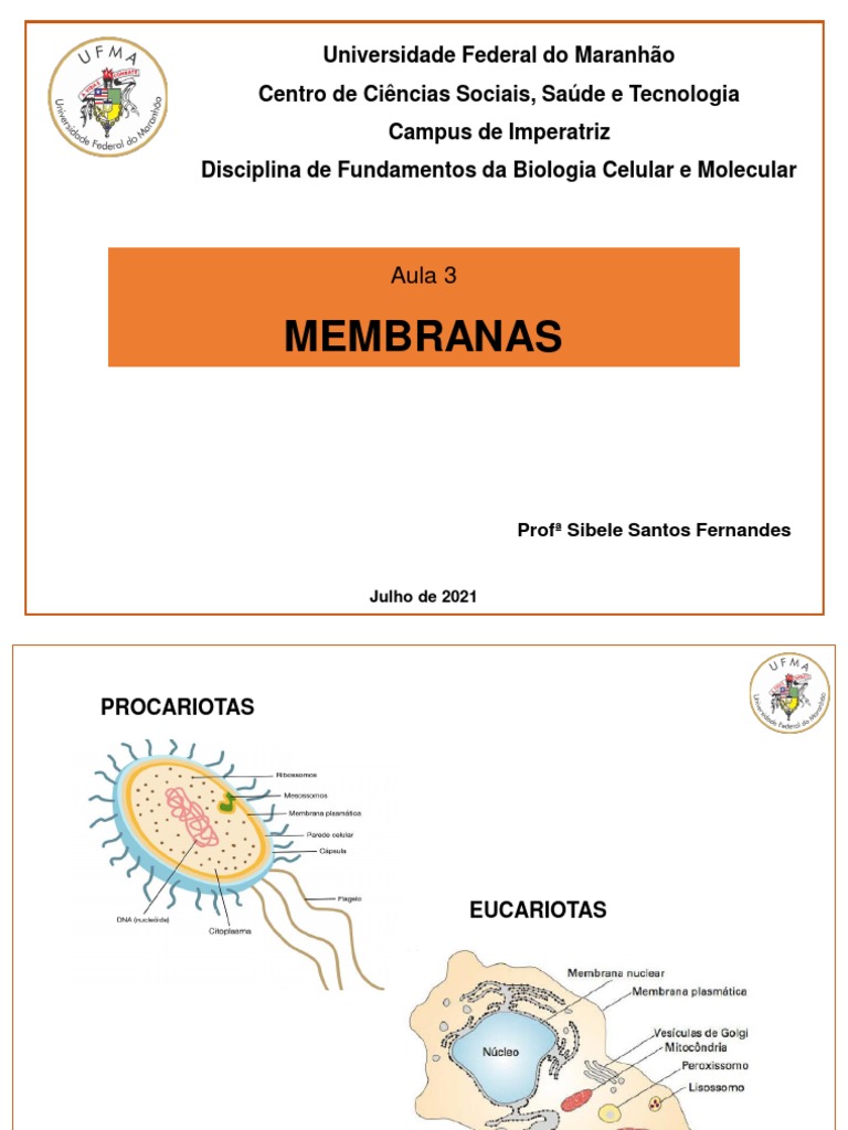 Aula 3 Membrana Plasmática Pdf Fosfolipídeo Membrana Celular