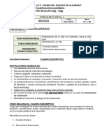 Comida chatarra vs alimentación balanceada