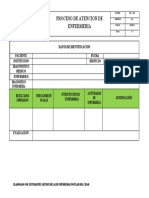 Proceso de Atencion de Enfermeria HRPL