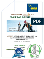 Plan de Trabajo Virtual Disein - Lic. Edwin Peredo