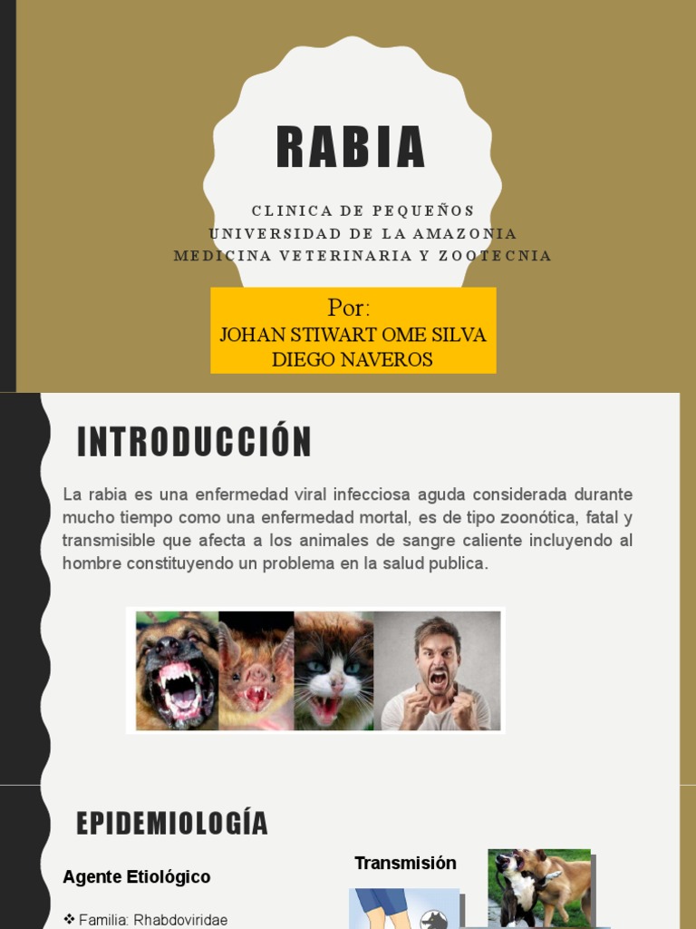 Prevención y Manejo de la Rabia | PDF | Rabia | Enfermedades y trastornos