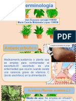 Medicinales Tarea 3