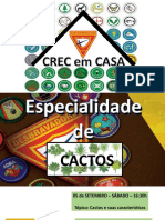 Aula 01 Cactos