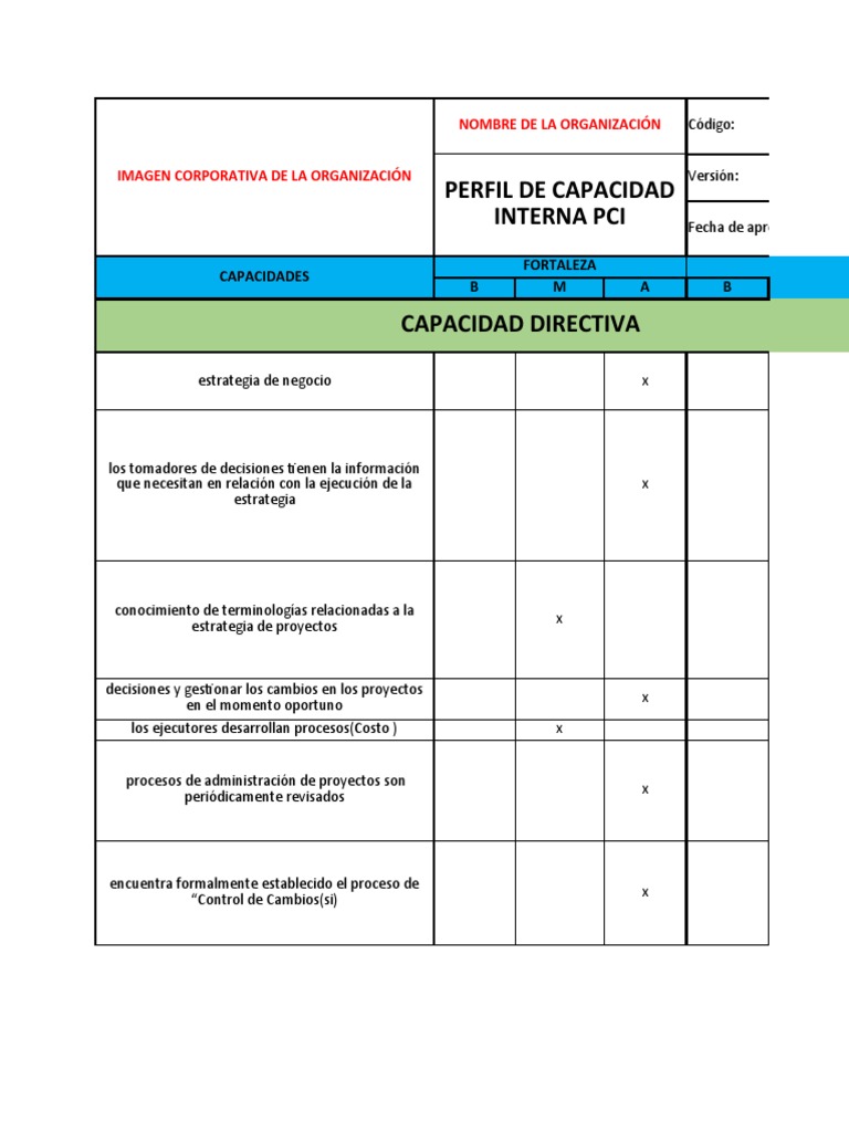 Matriz PCI para Gestión de Proyectos | PDF | Gestión de proyectos ...