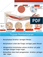 Jaringan Hewan #