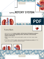 Excretory System