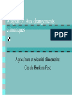 Adaptation Aux Changements Climatiques. Agriculture Et Sécurité Alimentaire - Cas Du Burkina Faso