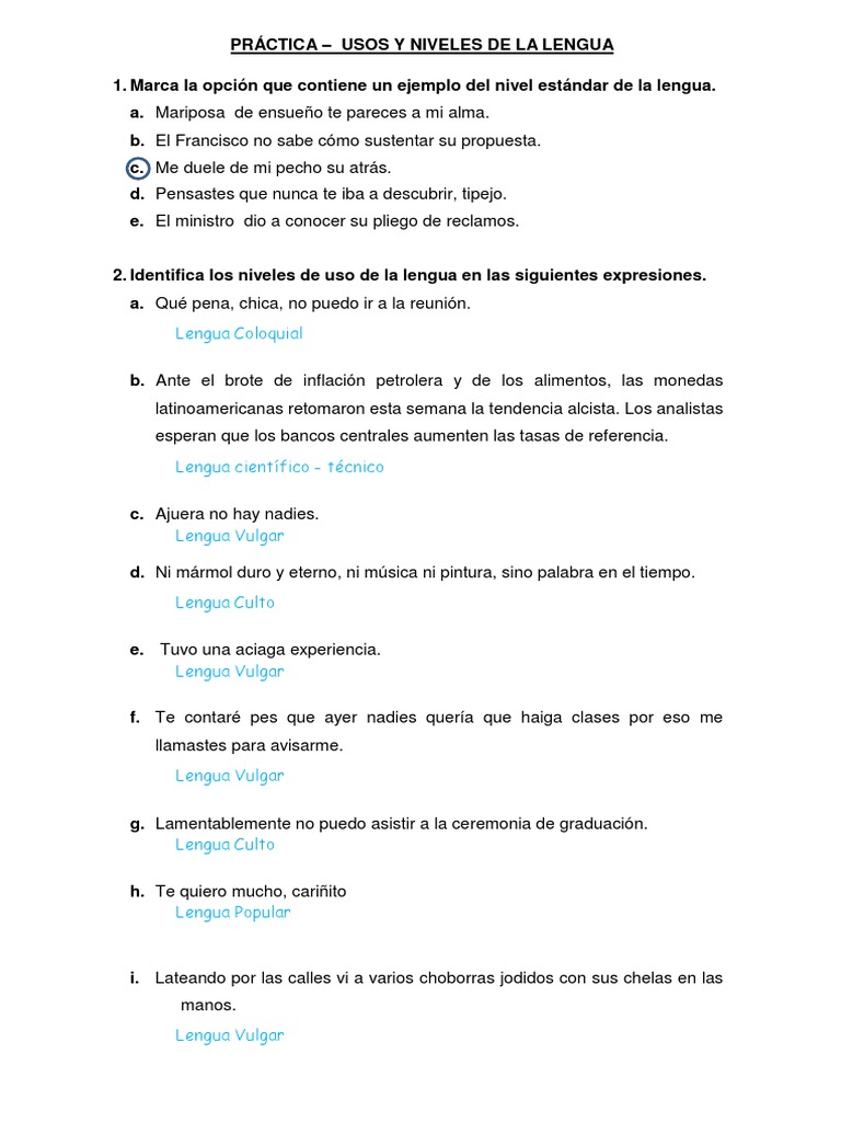Práctica - Usos y Niveles de La Lengua Desarrolio | PDF | Estudios de ...