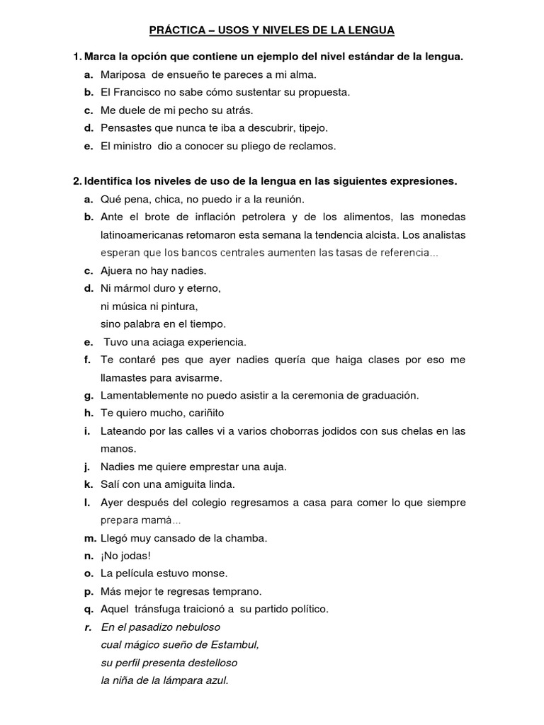 Práctica - Usos y Niveles de La Lengua | PDF