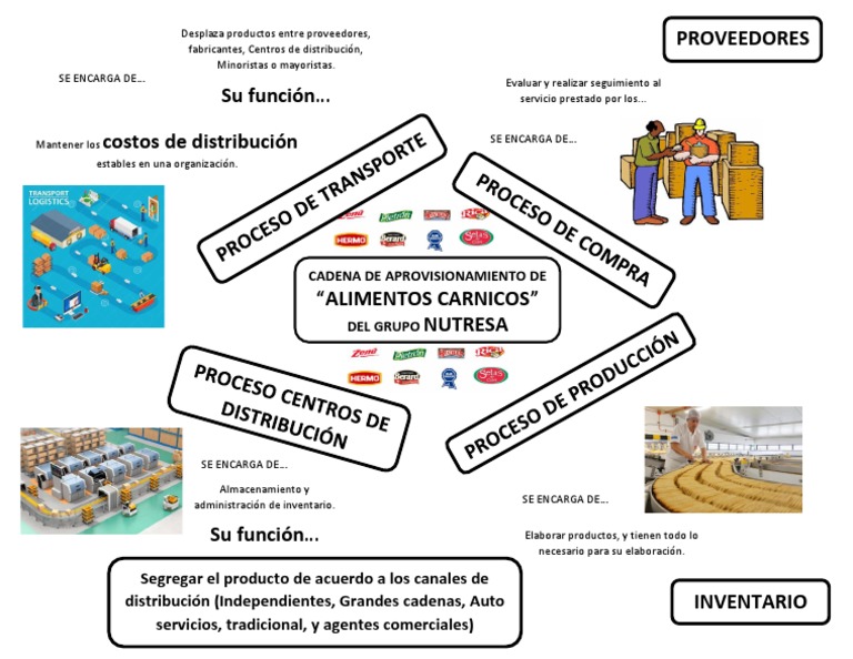 Mapa Mental Cadena de Aprovisionamiento de Producto | PDF