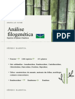 Análise Filogenética