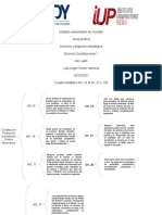 Cuadro Sinoptico Derecho Constitucional Art 15 Al 20, 27 y 133