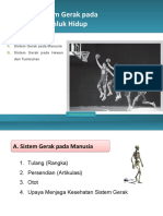 Sistem Gerak Pada Manusia