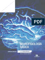 Neurofisiologia Basica Neurofisiologia B