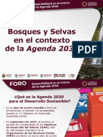 04 Bosques y Selvas