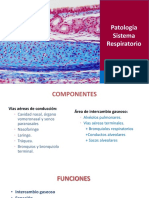 Patologasistemarespiratorio 140407201403 Phpapp02