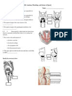 Larynx anatomy and physiology assignment