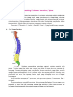 Biomekanik Dan Kinesiologi Columna Vertebra