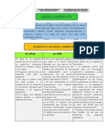 Cómo proteger nuestro medio ambiente