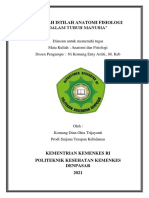 Istilah Anatomi Fisiologi Tubuh Manusia