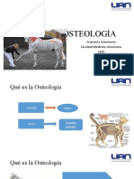 Presentación Osteología