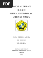 Download pbl 23 katarak by Richesio Sapata Tomokumoro SN53752481 doc pdf