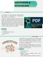 Autopoiesis y Homeostasis