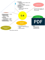 Mapa Mental Procedimiento C-A