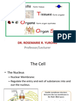 Lec. 2 Chapter 3 (Cell)