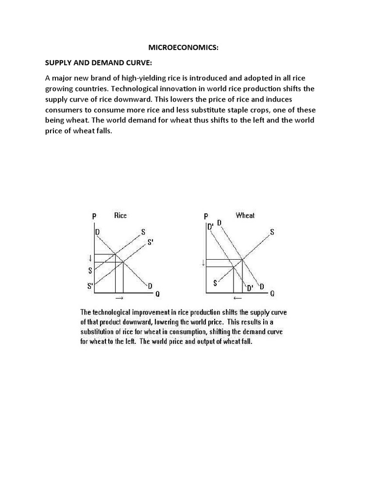Rice Demand, Supply, and Elasticity Analysis | PDF | Elasticity ...