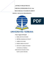 LAPORAN PRAKTIKUM PERTUMBUHAN Rimaa