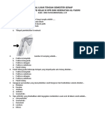 Soal Uts Ippd Xi 2019