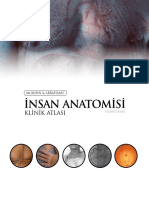 Insan Anatomisi Atlasi Mcminn 1515167549