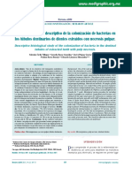 Estudio Histológico Descriptivo de La Colonización de Bacterias en Los Túbulos Dentinarios de Dientes Extraídos Con Necrosis Pulpar