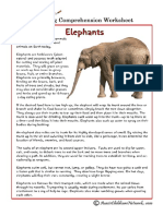 Reading Comprehension ELEPHANTS (1)