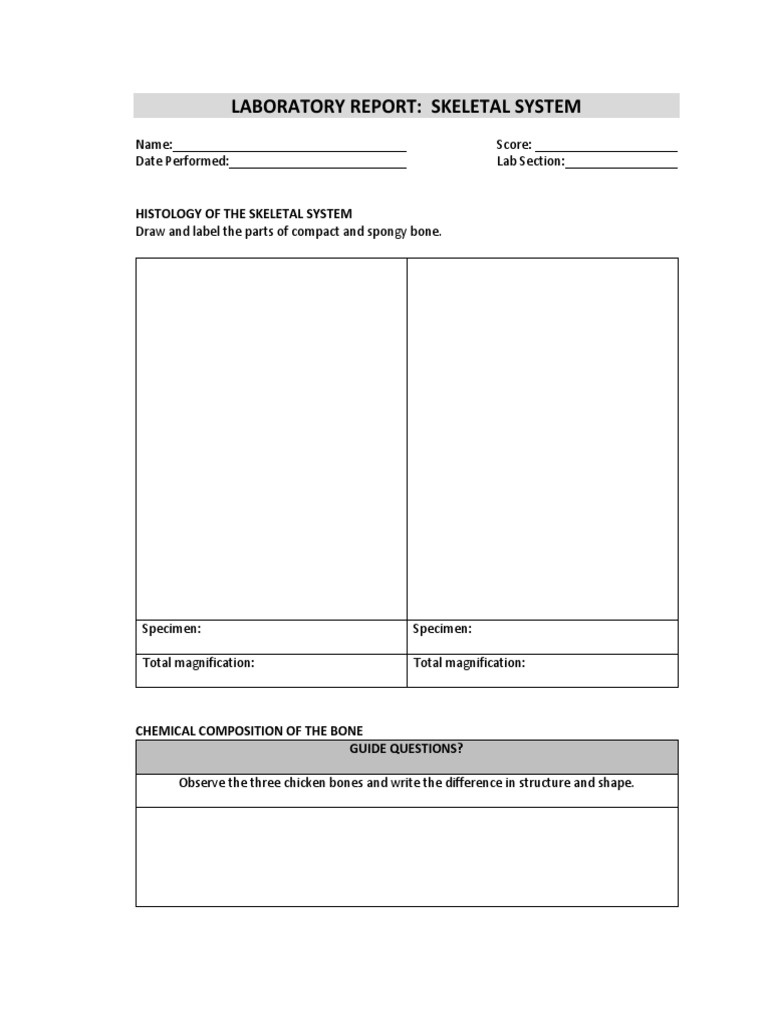 Laboratory Report: Skeletal System: Name: Score: Date Performed: Lab ...
