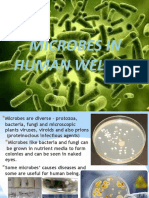 Microbes in Human Welfare (By-Anash Shaikh)