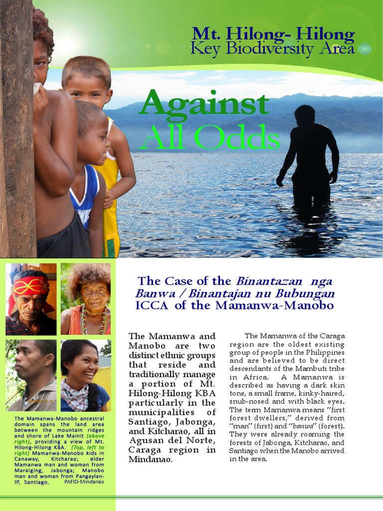 Mamanwa-Manobo Ancestral Domain Overview | PDF | Natural Environment