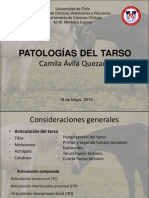 Patologias Del Tarso