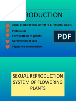 Reproduction: Fertilisation in Plants