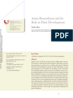 Auxin Biosynthesis and Its Role in Plant Development: Further