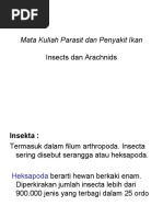 Download Insekta Dan Aracnida by achmad_nurdin SN53758369 doc pdf