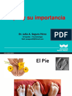 El Pie y Su Importancia. Dr. Julio Segura Perez