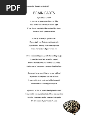 Brain Parts Poem